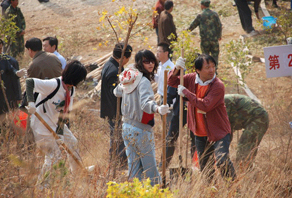 2009年煙臺店植樹活動