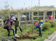 永旺煙臺購物中心2014植樹季,愛心植樹活動