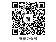 “為藍生活”關(guān)愛環(huán)境-地球一小時活動